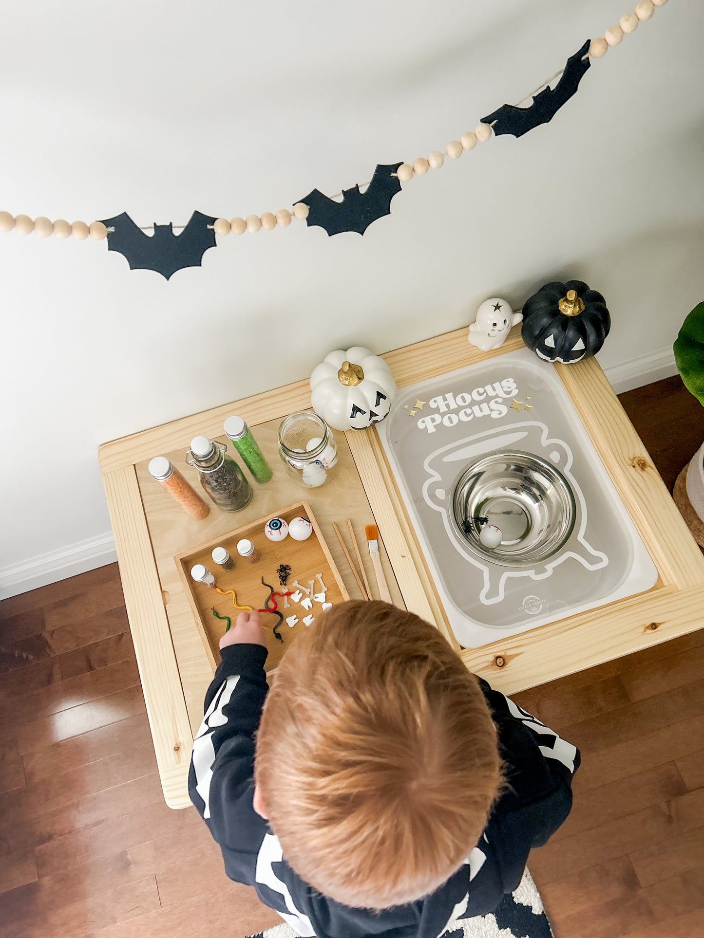 Sensory Table + Insert Activity Kit (PRE-ORDER)