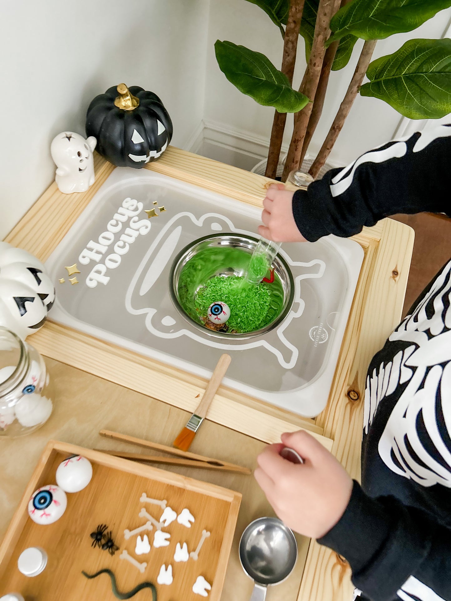 Hocus Pocus Sensory Bin Insert